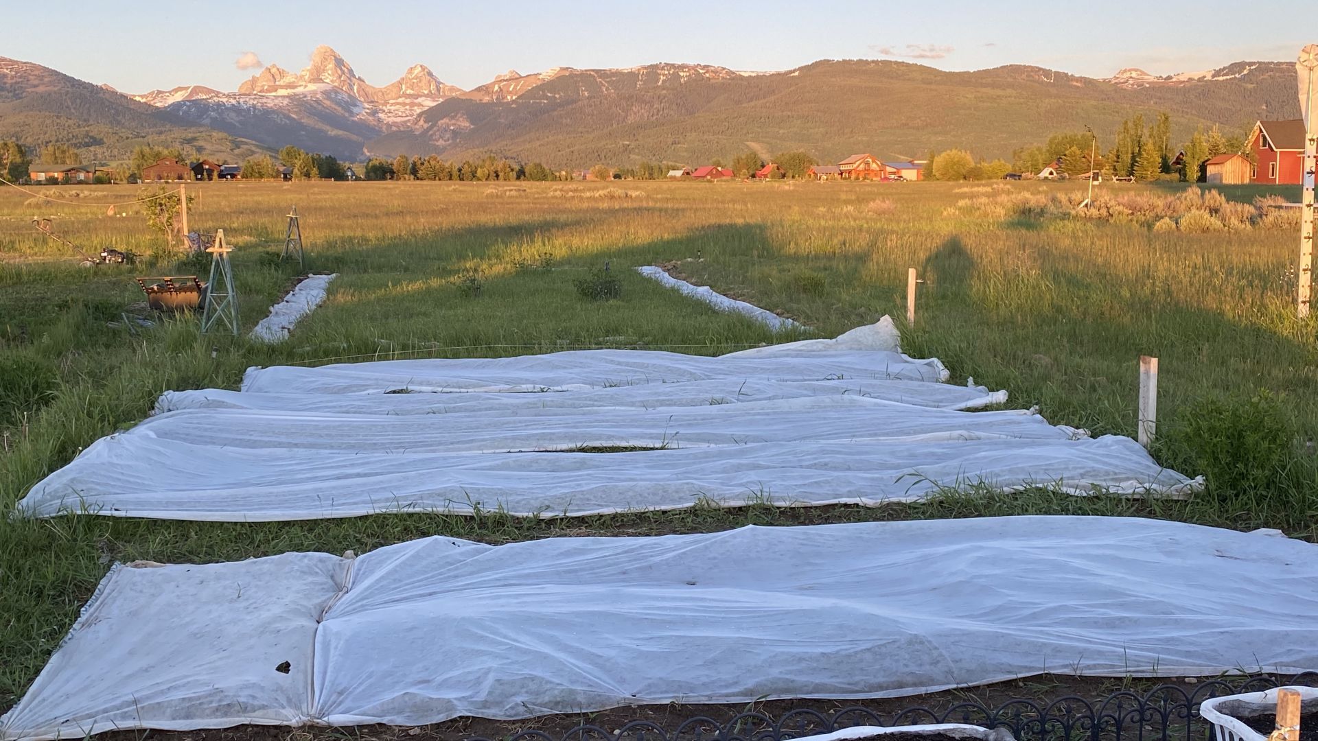garden row cover